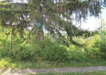 Casa semi indipendente Regione Chiarli, Grognardo - foto 23