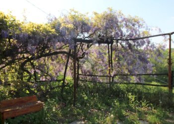 Casa semi indipendente Regione Chiarli, Grognardo - foto 41