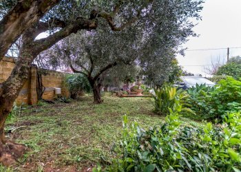 Giardino - Villa via giorgio almirante
 
33, Mazara del Vallo - foto 31