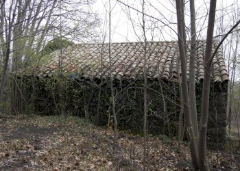 Giardino - Rustic Via Mareneve
 
11, Milo - photo 4