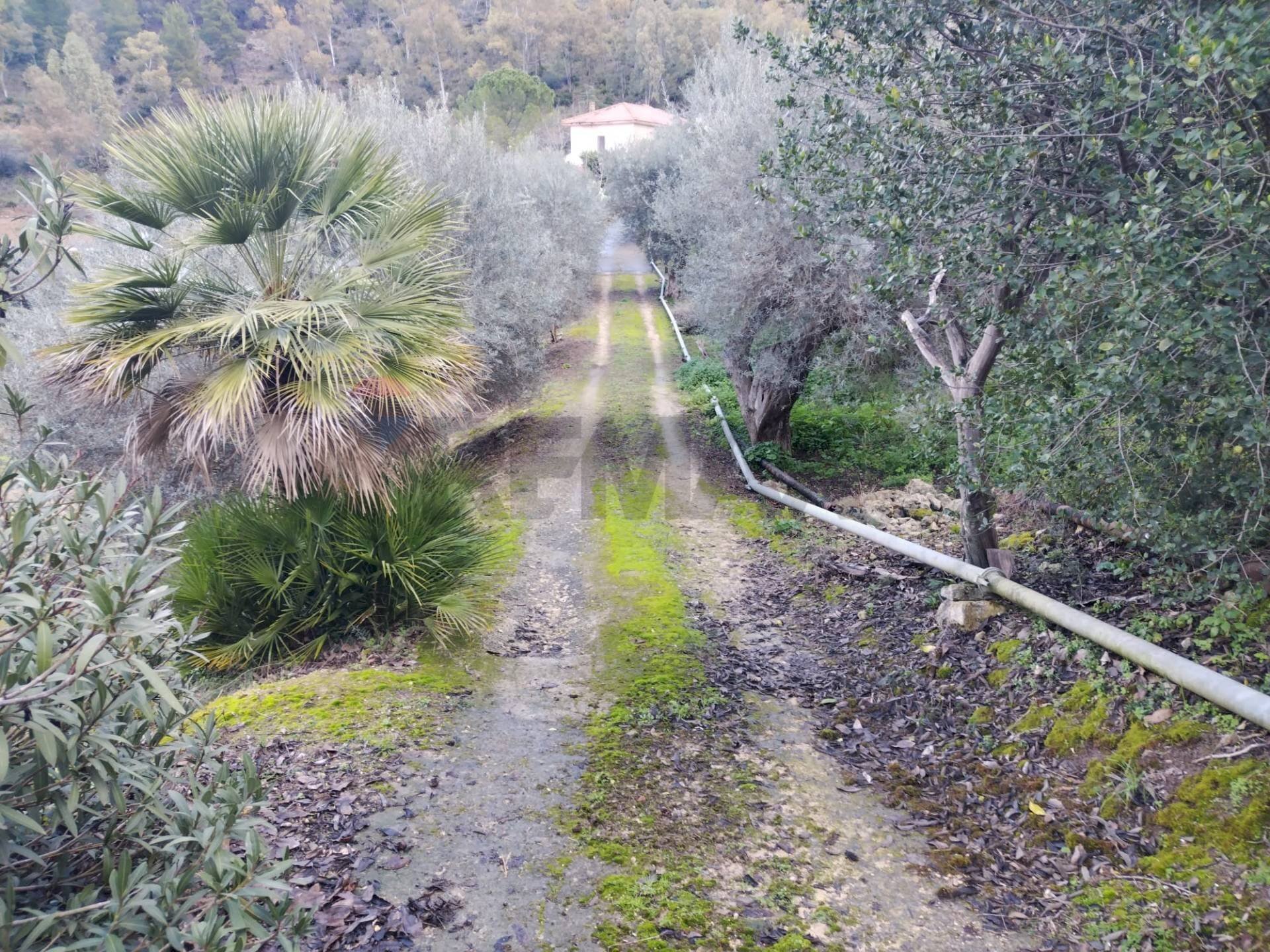 Giardino - Rustico Contrada Finocchiara
 
snc, Mineo - foto 2