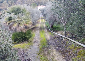 Giardino - Rustico Contrada Finocchiara
 
snc, Mineo - foto 2