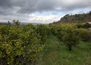 Vista delle montagne - Rustico Contrada Finocchiara
 
snc, Mineo - foto 10