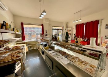 Cucina - Commercial Activity Montelupo Fiorentino - photo 5