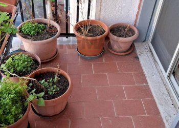 Balcone - Quadrilocale via Ustica
 
15, Catania - foto 12