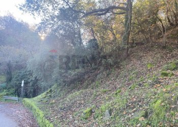 Non correlato - Terreno agricolo via marconi, Castiglione di Sicilia - foto 20