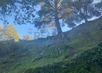 Vista delle montagne - Terreno agricolo via marconi, Castiglione di Sicilia - foto 23