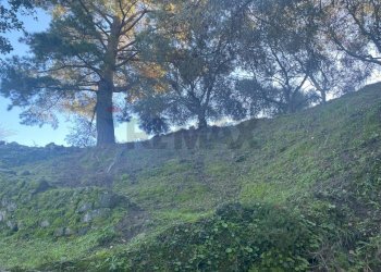 Vista delle montagne - Terreno agricolo via marconi, Castiglione di Sicilia - foto 24