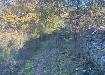 Giardino - Terreno agricolo via marconi, Castiglione di Sicilia - foto 25