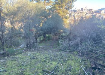 Non correlato - Terreno agricolo via marconi, Castiglione di Sicilia - foto 38