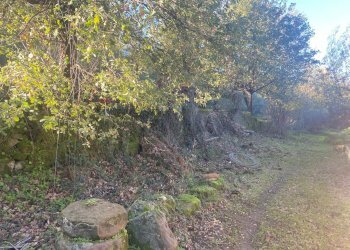 Giardino - Terreno agricolo via marconi, Castiglione di Sicilia - foto 39