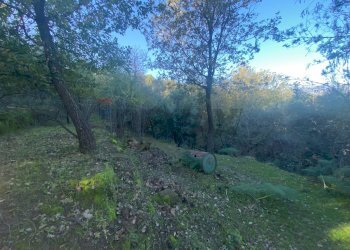 Non correlato - Terreno agricolo via marconi, Castiglione di Sicilia - foto 41