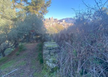 Non correlato - Terreno agricolo via marconi, Castiglione di Sicilia - foto 43