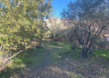 Giardino - Terreno agricolo via marconi, Castiglione di Sicilia - foto 44