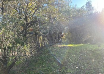 Giardino - Terreno agricolo via marconi, Castiglione di Sicilia - foto 45