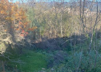 Giardino - Terreno agricolo via marconi, Castiglione di Sicilia - foto 46