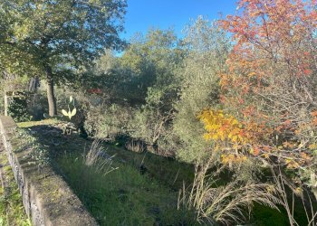 Giardino - Terreno agricolo via marconi, Castiglione di Sicilia - foto 47