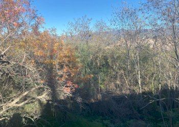 Non correlato - Terreno agricolo via marconi, Castiglione di Sicilia - foto 48
