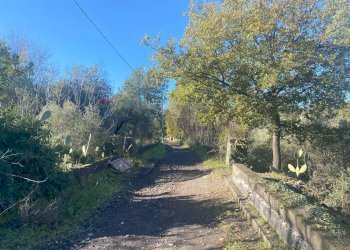 Giardino - Terreno agricolo via marconi, Castiglione di Sicilia - foto 49