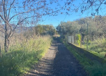 Vista delle montagne - Terreno agricolo via marconi, Castiglione di Sicilia - foto 50