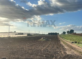 Non correlato - Terreno agricolo Coste fredde, Noto - foto 6
