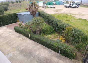 Giardino - Casa semi indipendente Via Feudo
 
4, Ripa Teatina - foto 18