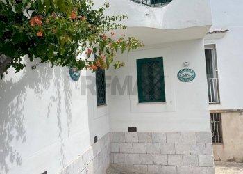 esterno - Appartamento Via Bacco
 
35, Vieste - foto 22