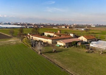 Foto 3 - Commercial Activity Strada Del Portone, Grugliasco - photo 3