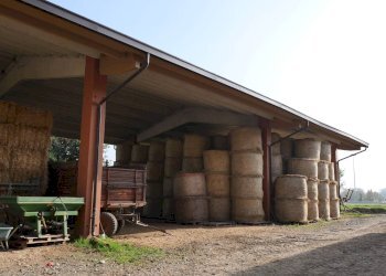 Foto 15 - Commercial Activity Strada Del Portone, Grugliasco - photo 15