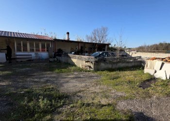 Giardino - Casa indipendente VIA FIGURA, Minturno - foto 3