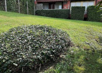 Foto 19 - Bilocale via BRUGHIERA
 
22, Leggiuno - foto 19