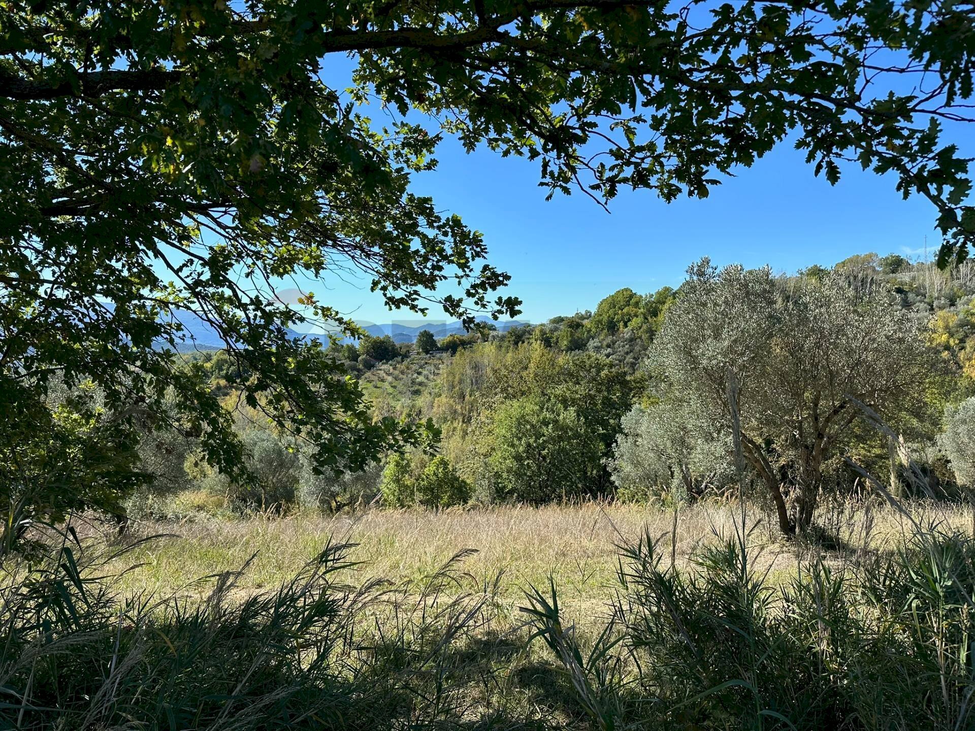 Vista delle montagne - Terreno agricolo Località Arse, Fornelli - foto 2