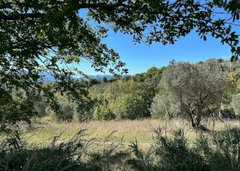 Vista delle montagne - Terreno agricolo Località Arse, Fornelli - foto 2