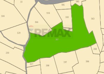 Pianta 2D - Terreno agricolo Località Colle, Colli a Volturno - foto 13