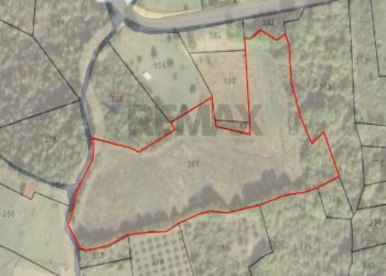 Pianta 2D - Terreno agricolo Località Colle, Colli a Volturno - foto 17