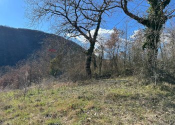 Vista delle montagne - Terreno agricolo Località Colle, Colli a Volturno - foto 10