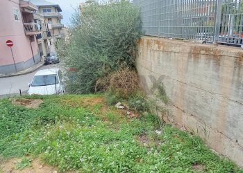 Giardino - Terreno edificabile Vittoria - foto 4