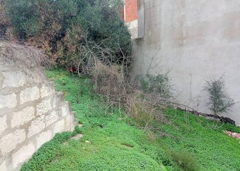 Giardino - Terreno edificabile Vittoria - foto 6