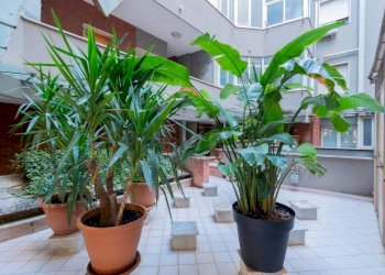 Dettagli - Office via Paolo Paternostro
 
94, Palermo - photo 13