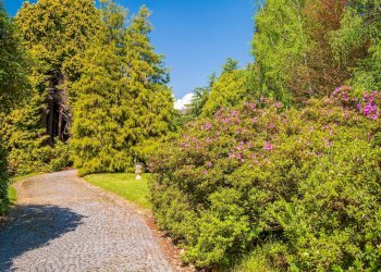 Foto 11 - Villa via Cantone Boglietti
 
1, Biella - foto 11