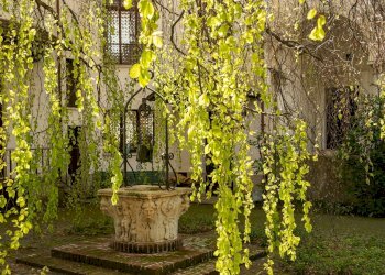 Foto 46 - Villa via Cantone Boglietti
 
1, Biella - foto 46