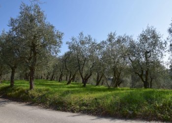 Foto 6 - Casa indipendente Via della crociata, Montopoli in Val d'Arno - foto 6