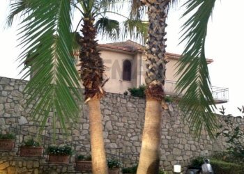 Casa all\'aperto - Casa semi indipendente via antonio guarasci, Sangineto - foto 11