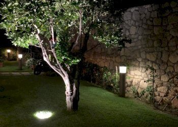 Giardino - Casa semi indipendente via antonio guarasci, Sangineto - foto 23