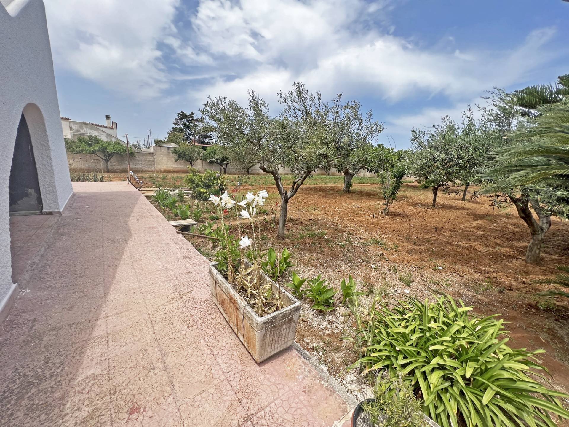 Foto 3 - Villa Via Ulisse
 
14, Brindisi - foto 3