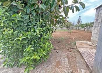 Foto 7 - Villa Via Ulisse
 
14, Brindisi - foto 7