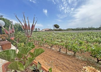 Foto 30 - Villa Via Ulisse
 
14, Brindisi - foto 30