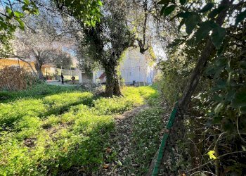 Foto 37 - Villa Via Roma
 
6, San Bartolomeo al Mare - foto 36