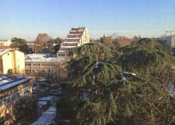 Attico Ozzano dell'Emilia - foto 29