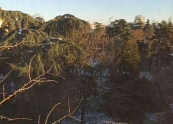 Attico Ozzano dell'Emilia - foto 31